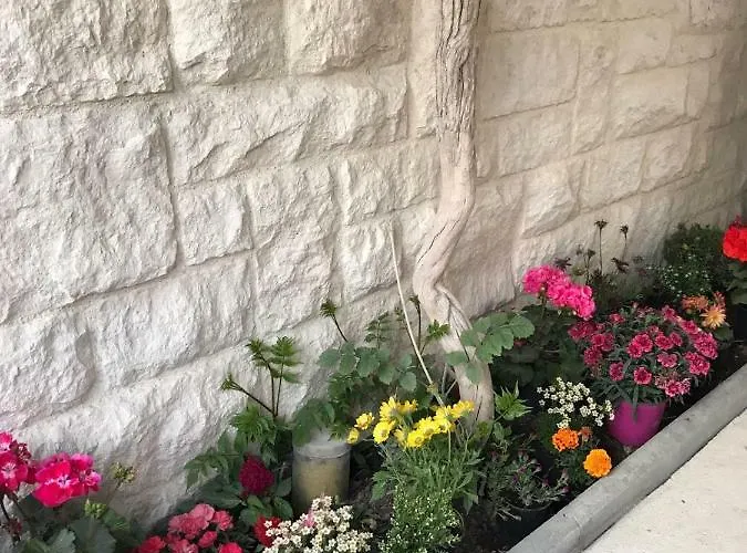 Apartman Crnica Šibenik